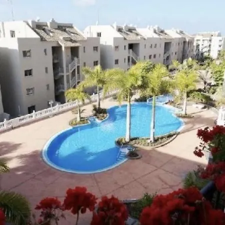Laderas Palmar Palm-mar